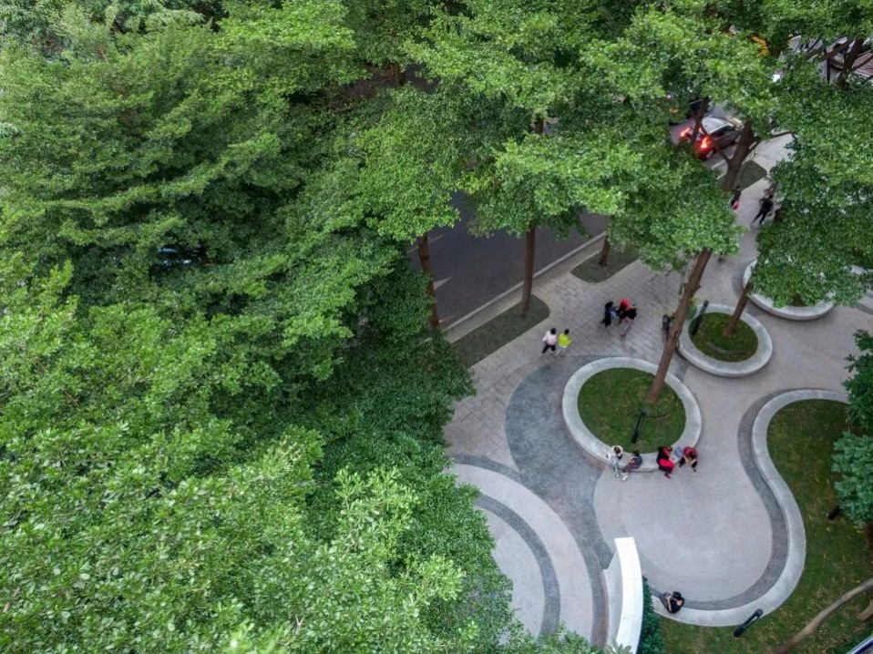 1669963649132792.jpg 1669963649132792.jpg