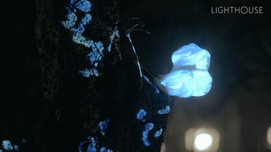 1677047710584276.gif 1677047710584276.gif