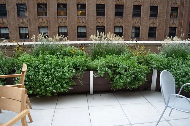 1704335212129022.jpg 1704335212129022.jpg