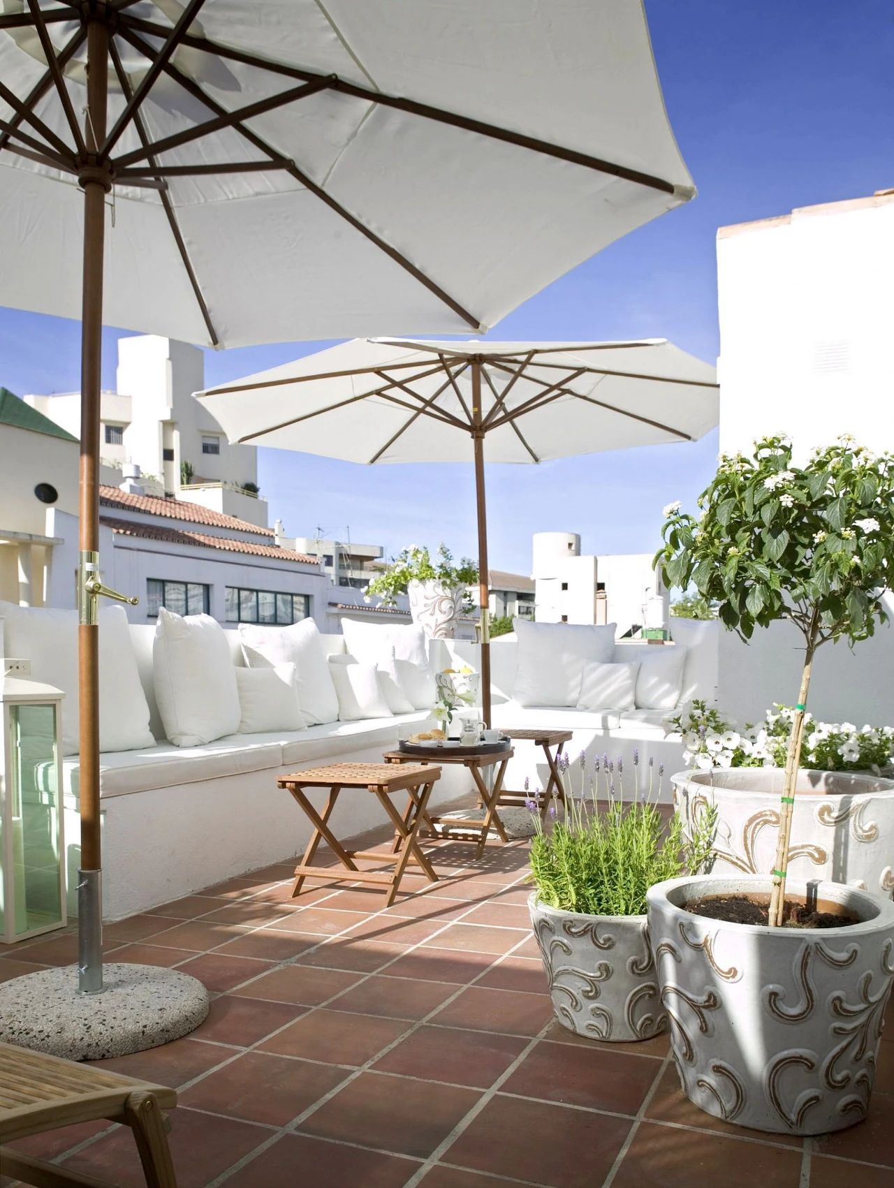 1704335529937064.jpg 1704335529937064.jpg