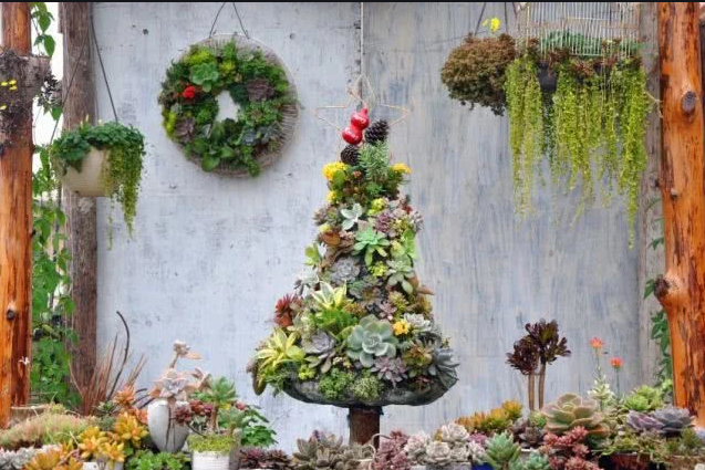 1704335566908305.png 1704335566908305.png